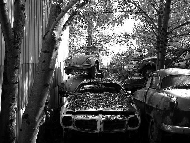 Autofriedhof - 164.JPG - Historischer Autofriedhof,    Gürbetal (CH)